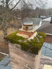 Chimney Repair (Royal Masonry)