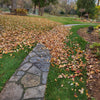 Lawn Care: Property Restoration