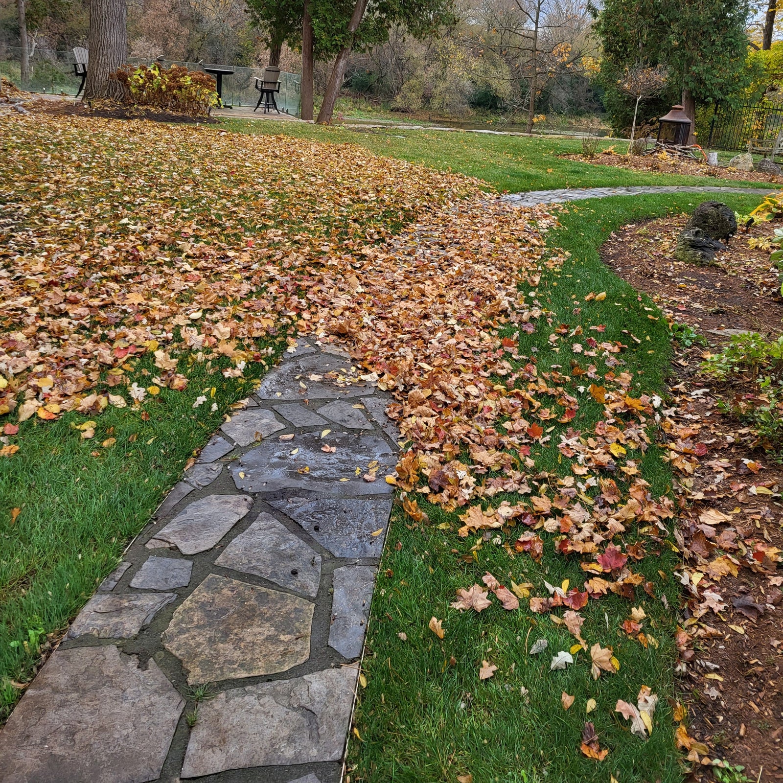 Lawn Care: Property Restoration