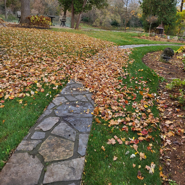 Lawn Care: Property Restoration