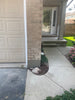 Foundation Repair