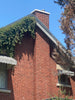 Chimney Repairs: Concrete Cap