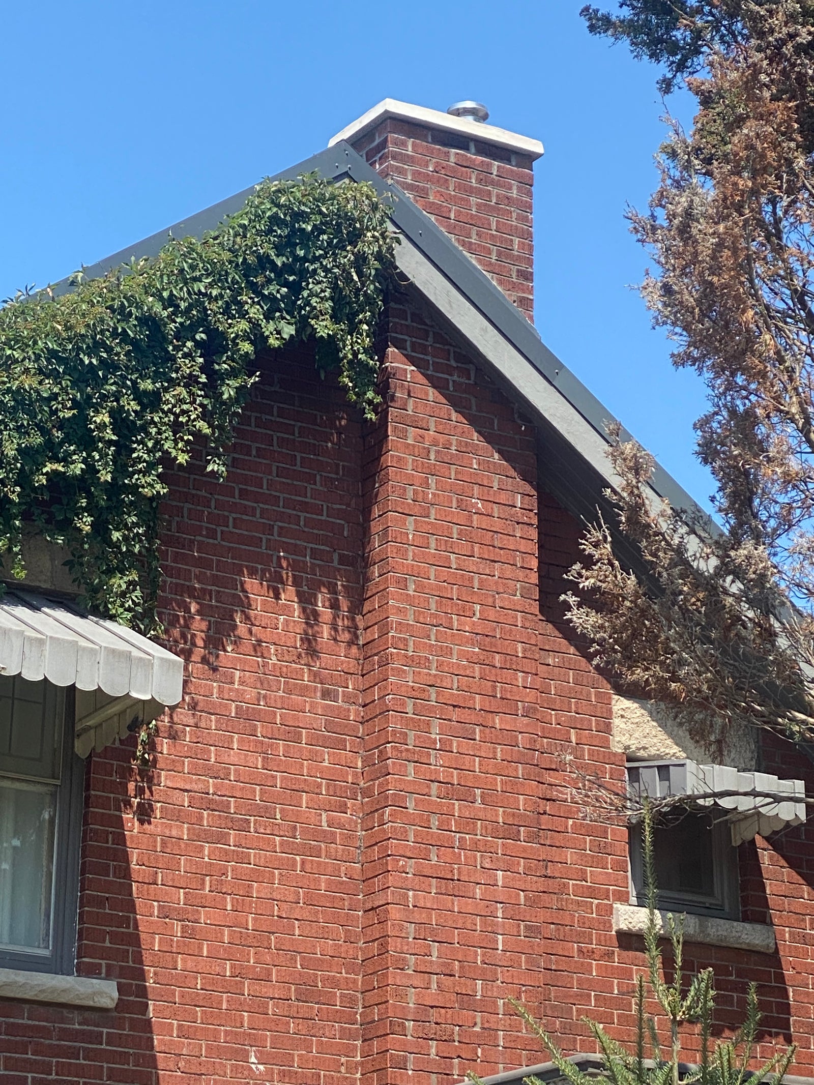 Chimney Repairs: Concrete Cap