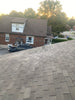Chimney Repairs: Removing/ Capping Chimney