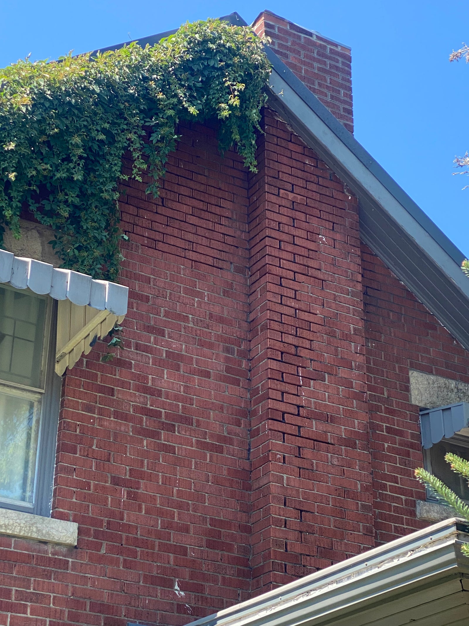 Chimney Repairs: Concrete Cap