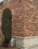 Brick Veneer Repairs