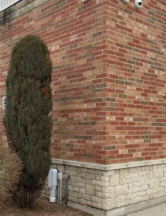 Brick Veneer Repairs