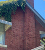 Brick building corner with rooftop greenery and exterior masonry detail