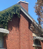 Brick chimney surrounded by greenery on a clear day