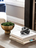 Decorative items including a gold bowl with greenery, a black abstract sculpture, and books on a wooden surface.