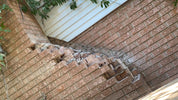 Chimney Repair: Ramp