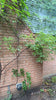 Chimney Repair (Royal Masonry)