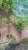 Chimney Repair: Ramp