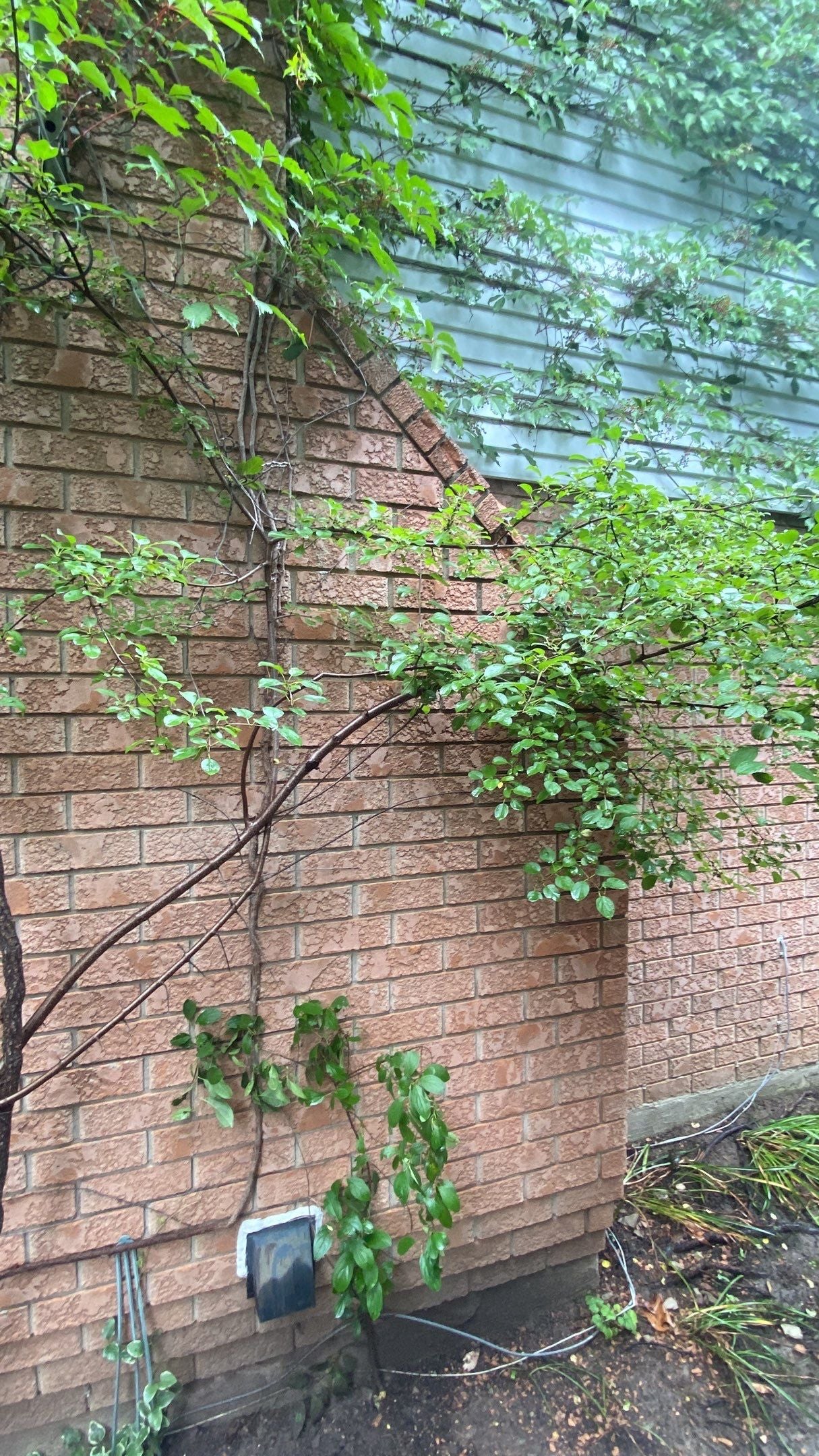 Chimney Repair: Ramp