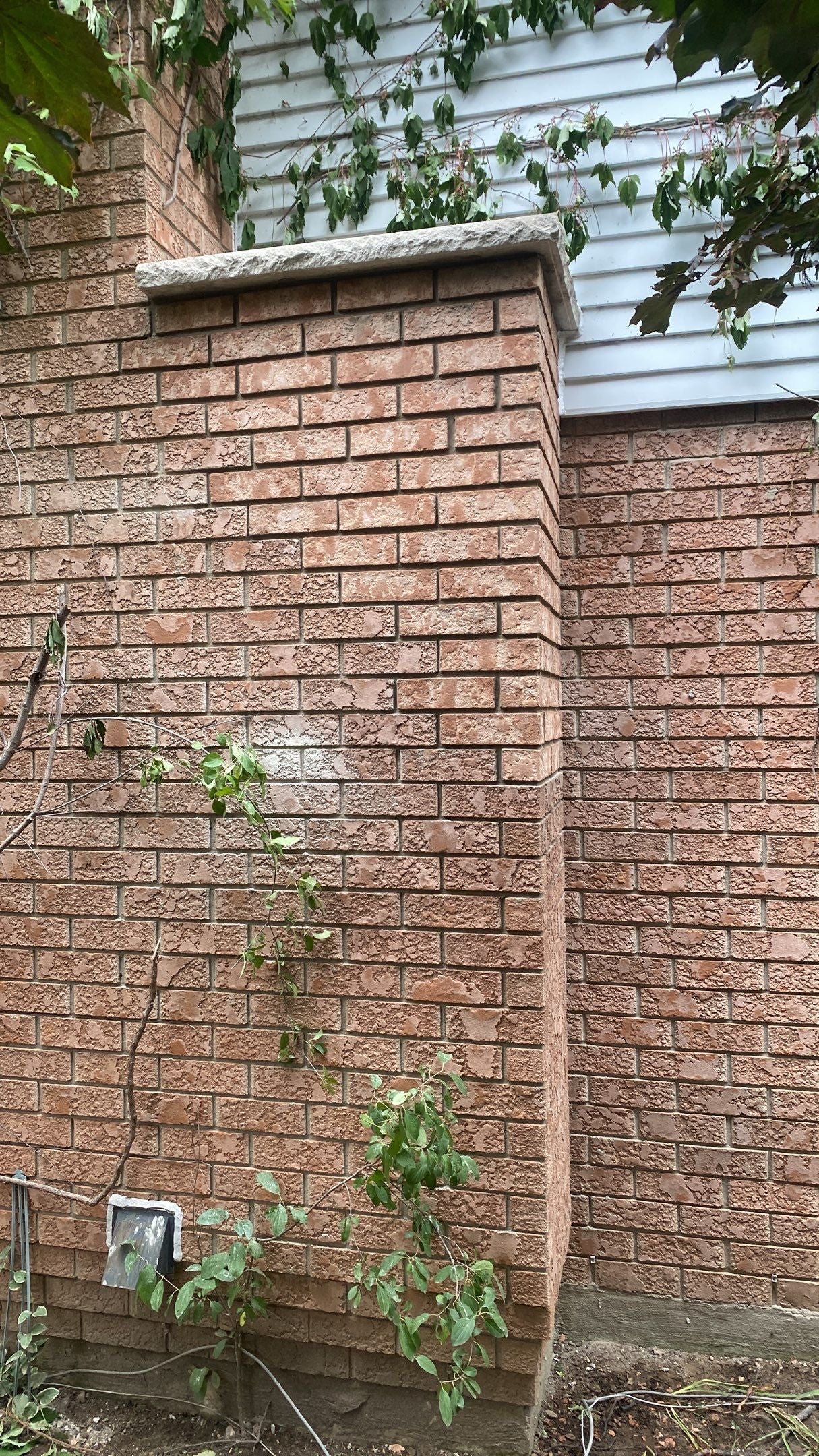 Chimney Repair (Royal Masonry)