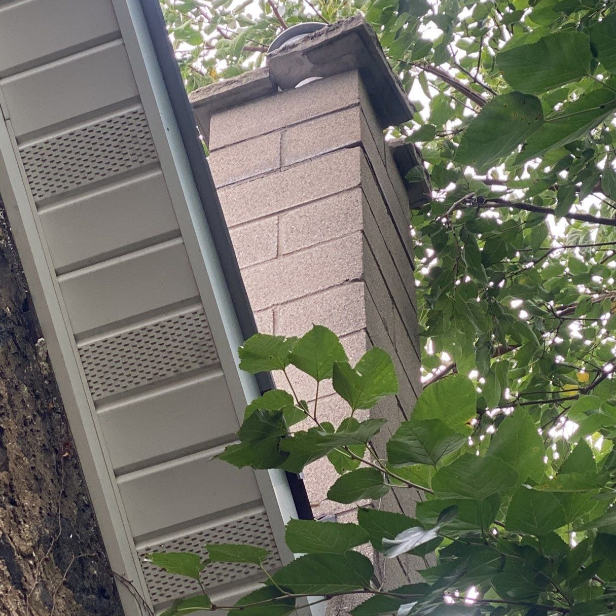 Chimney Repair (Royal Masonry)