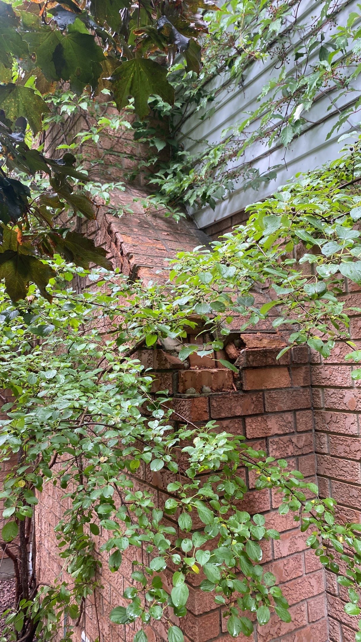 Chimney Repair: Ramp