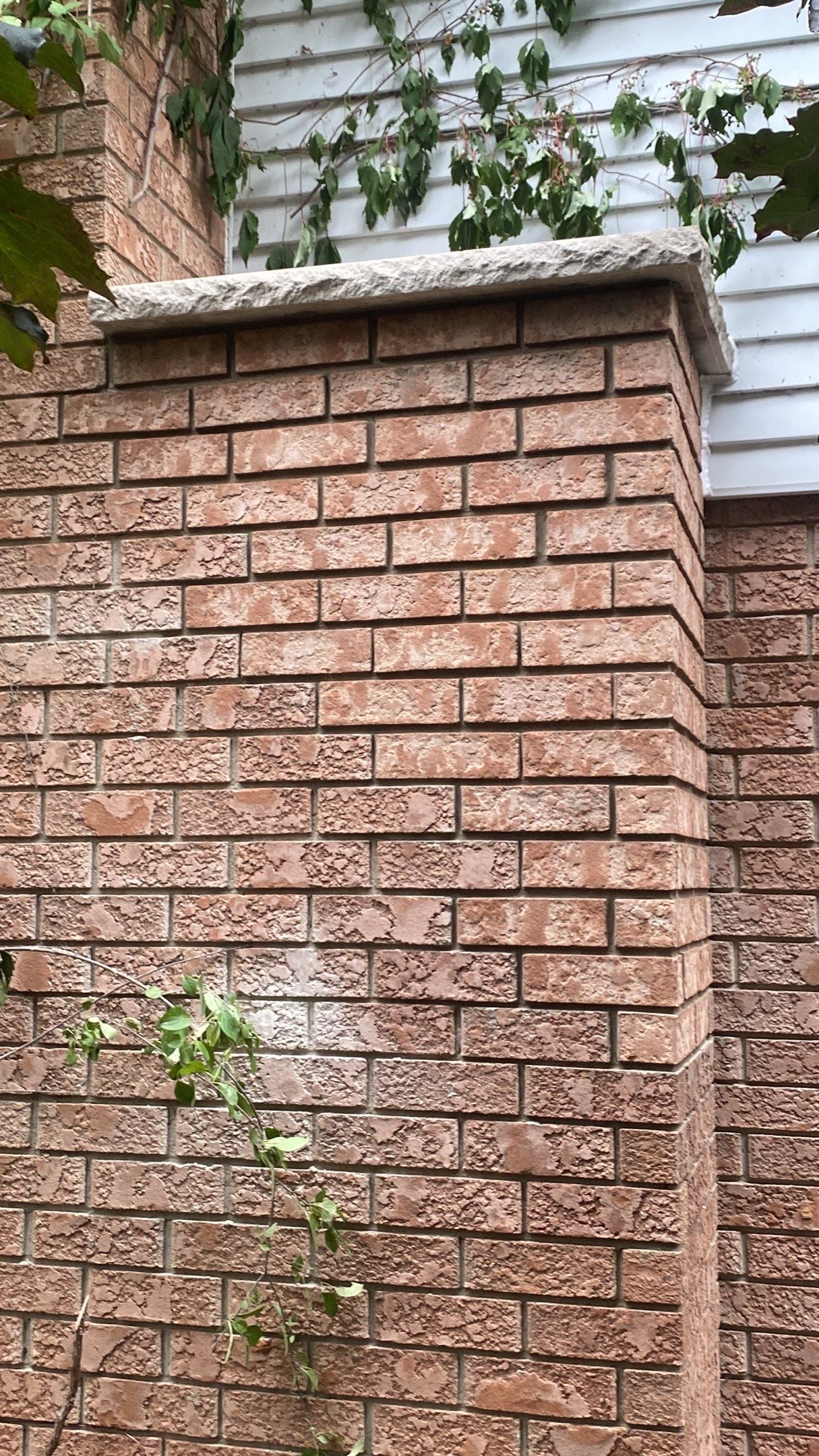 Chimney Repair: Ramp