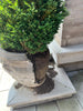 Basic Package - Concrete Sealing