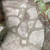 Flagstone walkway installation with natural stone slabs set in mortar
