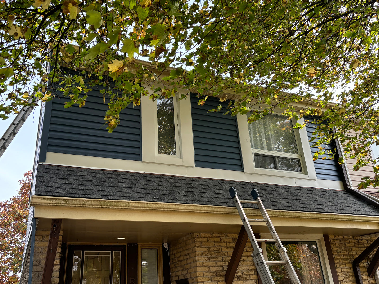 Ladder against a house with green siding and a tree above