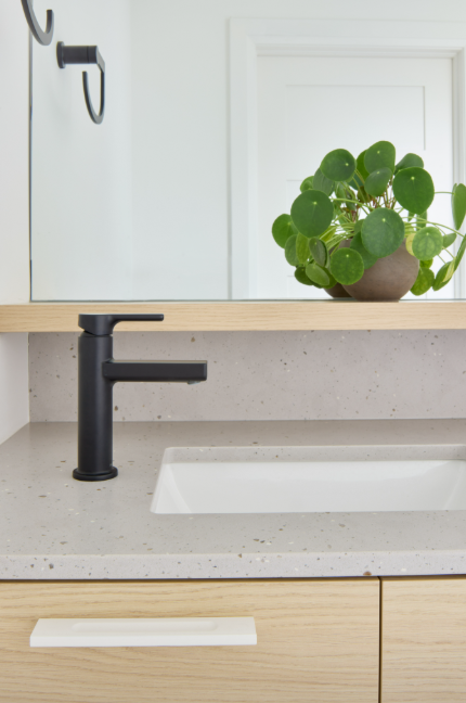 Modern kitchen with black faucet, white sink, and green plant on wooden shelf.