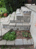 Stone steps leading up to a garden area with plants and a fence in the background.